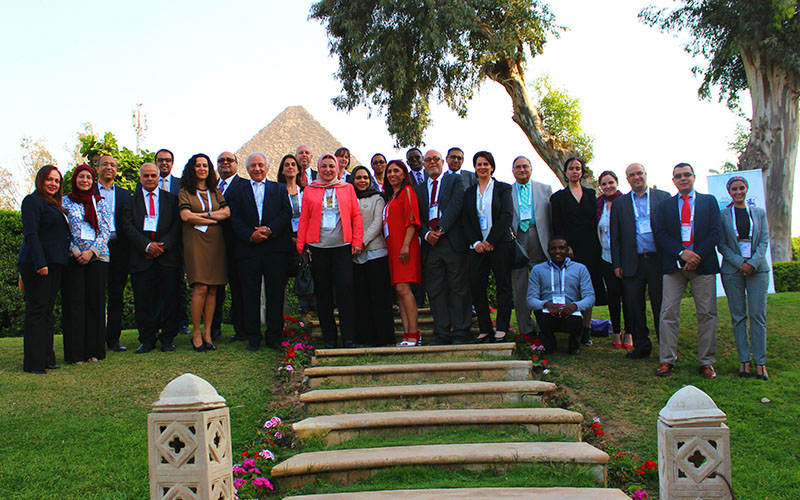 8th MENA Influenza Stakeholders Networks Meeting group