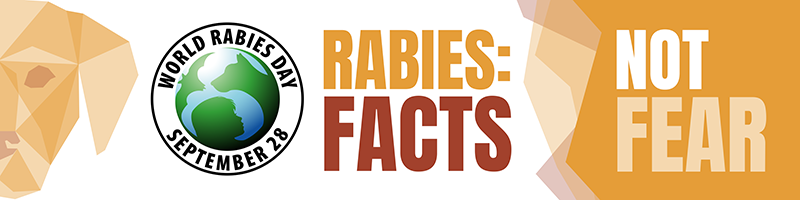 World Rabies Day 2021: Celebrating action to maintain momentum