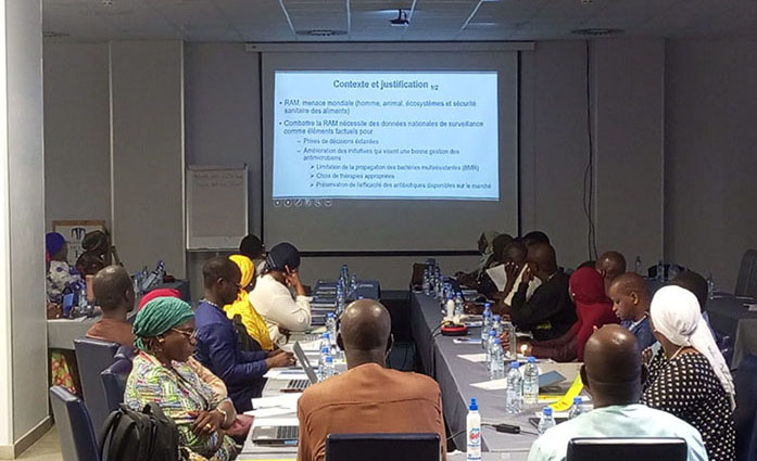 Participants during the AMR monitoring training workshop