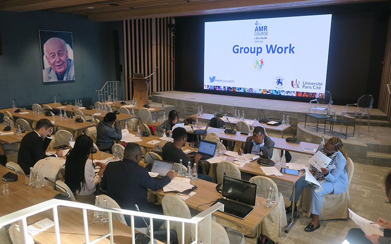 Des participants du cours sont dans un amphithéâtre et travaillent en groupe devant des ordinateurs. Au fond, un écran géant projette une présentation avec écrit travail de groupe