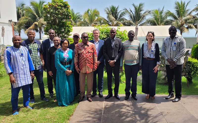 Groupe de 13 professionnels en extérieur, devant des palmiers. Ce sont les participants du Comité de Pilotage International de RESAOLAB