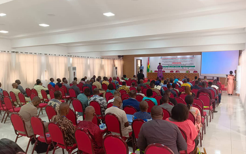 Photo taken in a room during the Togo Medical Biology Days. The participants, seated on a chair, attend a presentation.