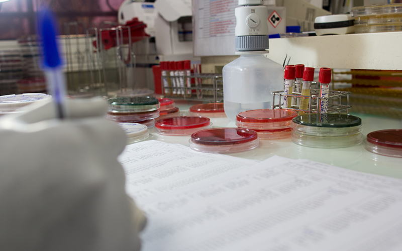 Close-up view of a workstation in a microbiology laboratory, with Petri dishes containing culture media, blood sample tubes, and a results sheet being filled out by a technician.