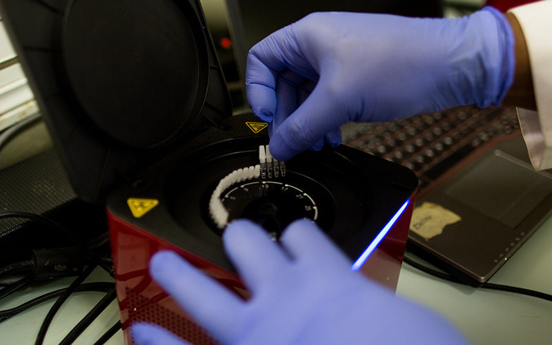 A laboratory professional wearing blue gloves inserts sample tubes into a benchtop centrifuge used for biomedical analysis. A laptop computer is visible in the background.